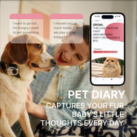 Pettichat AI pet diary