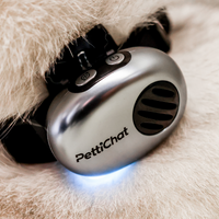 Pettichat Pet Translator worn by a pet, Silver