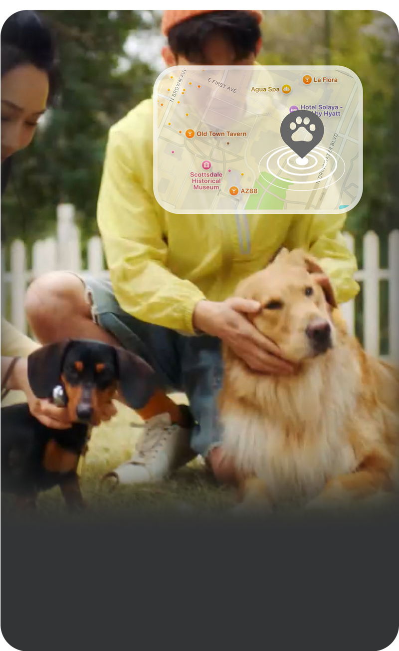 Reference image of a pet owner outdoors