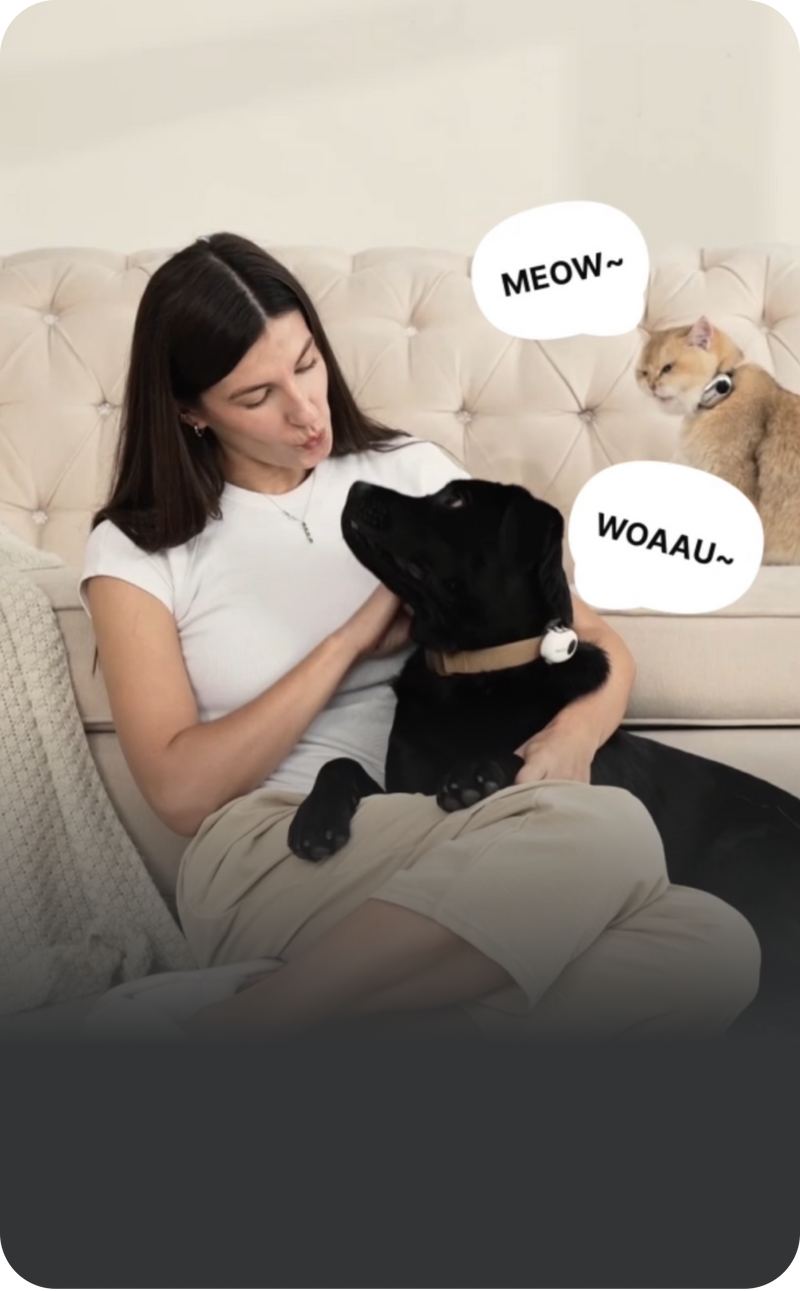 PettiChat reference — Real-time AI translation