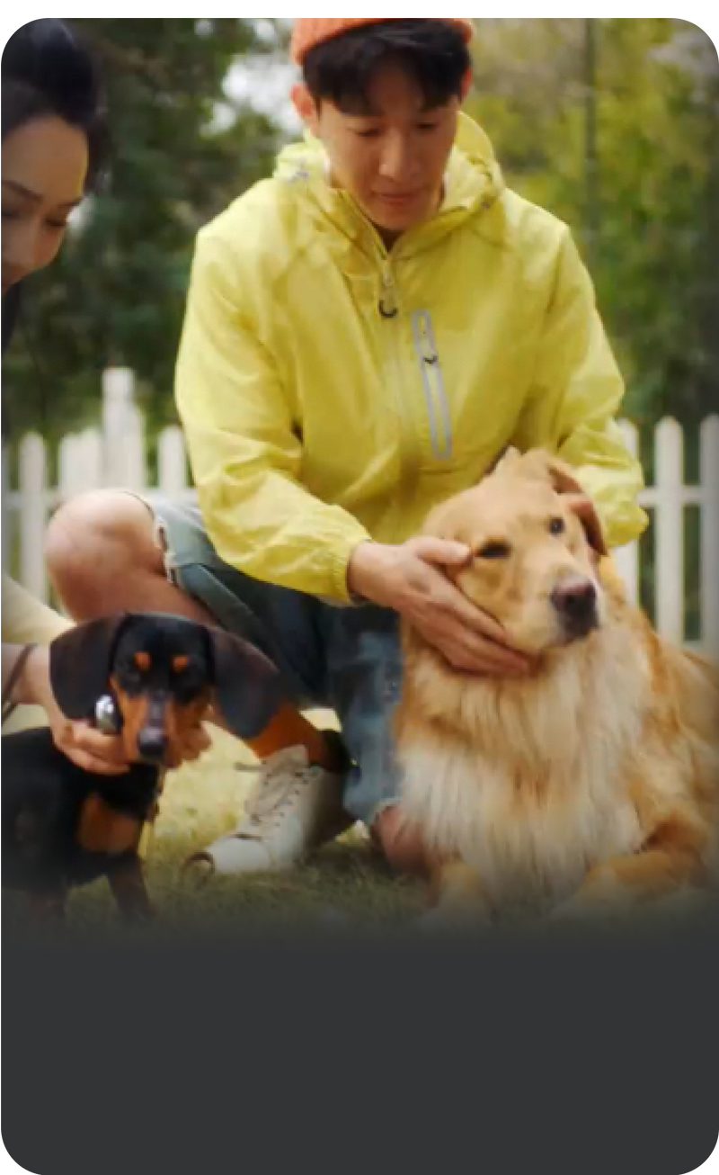 PettiChat reference — GPS location tracking