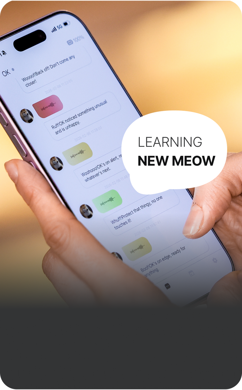PettiChat reference — AI pet diary