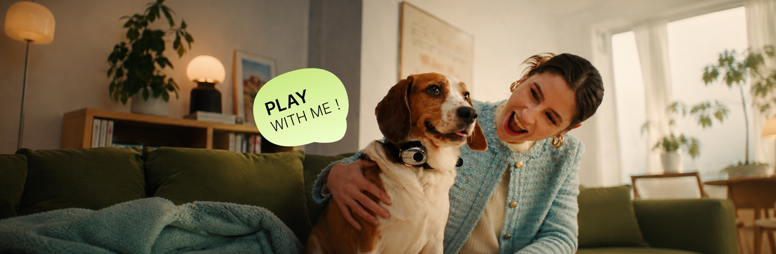 Owner playing with a dog on a couch